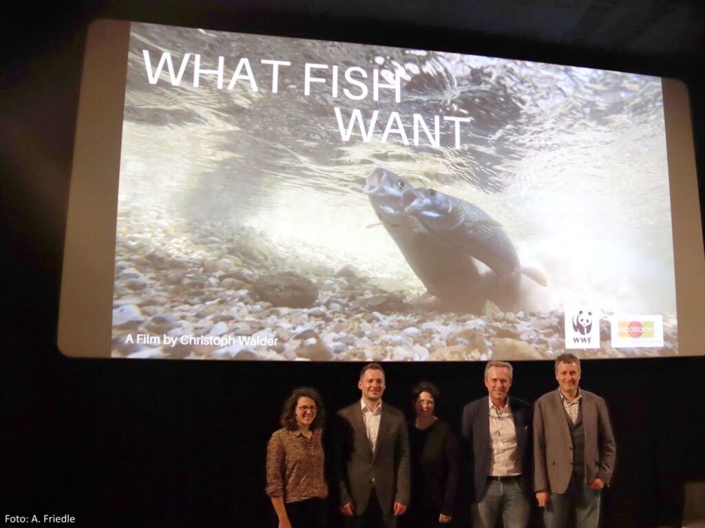 Eine Delegation bestehend aus Fisch- und Gewässerschutzexpert*innen des Tiroler und Österreichischen Fischereiverbandes sowie des WWF, informierte erst kürzlich Vertreter*innen von EU-Institutionen über das gravierende Schwall-Sunk-Problem von Wasserkraftwerken. Giulia Riedo (WWF), Zacharias Schähle (Tiroler Fischereiverband), Bettina Urbanek (WWF), Gert Gradnitzer (Österreichischer Fischereiverband) und Andreas Baumüller WWF) (v.l.n.r.).