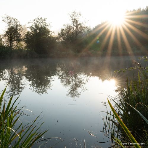 Foto vom Karpfenteich im Bezirk Kufstein - Fischerstüberl