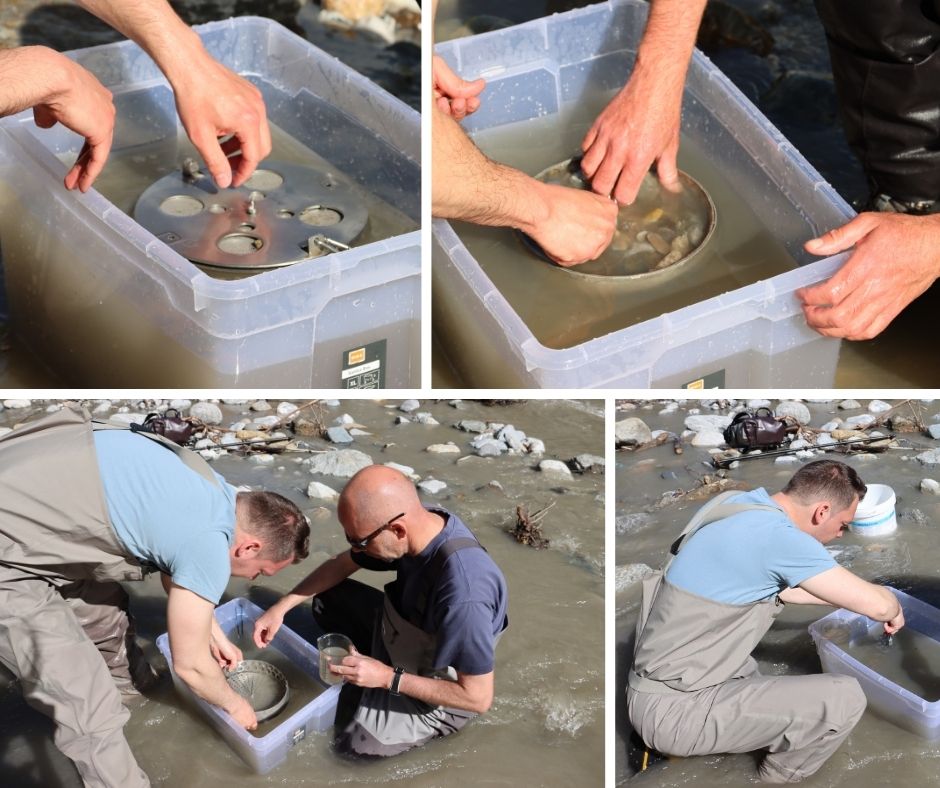 Bewirtschaftungsmethode Cocooning - die Fischlarven werden aus der Box geholt.