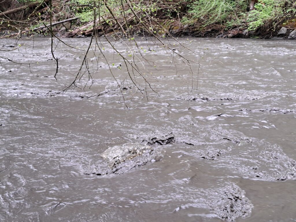 Dreckwasser von der Umweltkatastrophe an der Sill