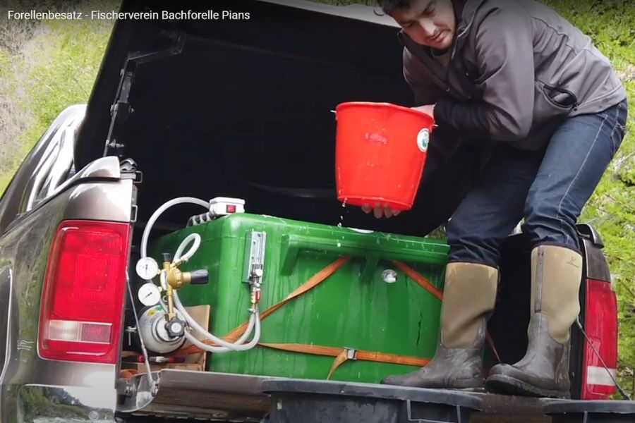 Fischer während dem Fischbesatz