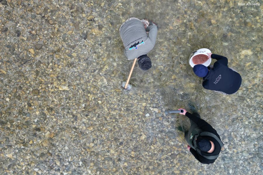 Vogelansicht der Bewirtschaftungsmethode Artificial Nests