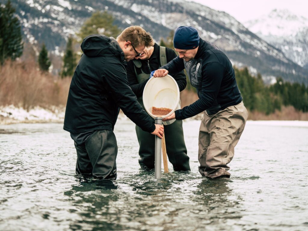 Fischer beim Einbringen von Fischeiern ins Gewässer (Bewirtschaftungsmethode: Artificial Nests).