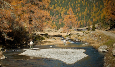 Bild vom Revier 9300: Schwarzach