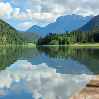 Pillersee Revierbild