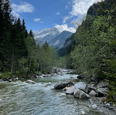 Zemmbach Revierbild