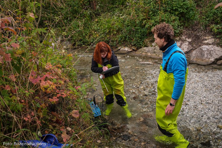 Forscherinnen und Forscher der TU München führen Messungen vor und nach der Laichplatzschüttung durch.
