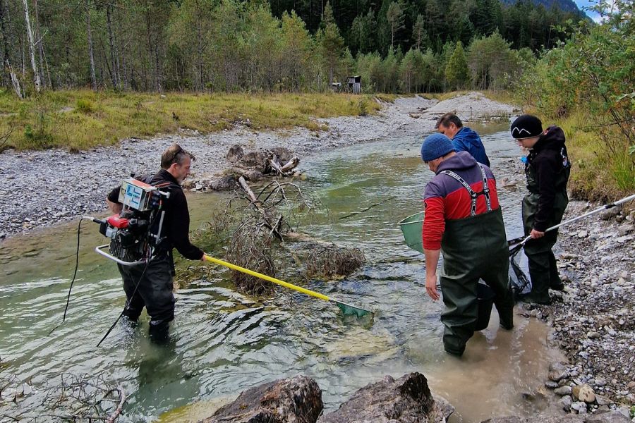 Elektrobefischung am Koppenbach