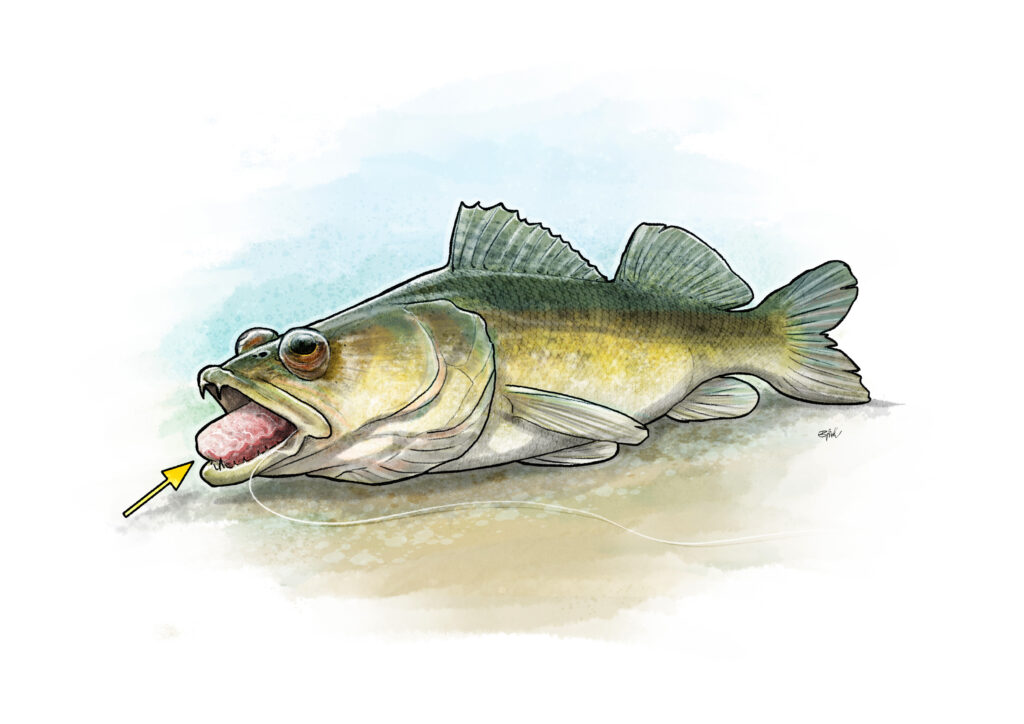 Illustration von Anzeichen für Barotraume 